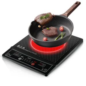 Induction Cooker R.8015